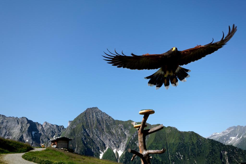 Gaestehaus Ahornblick Mayrhofen Dış mekan fotoğraf