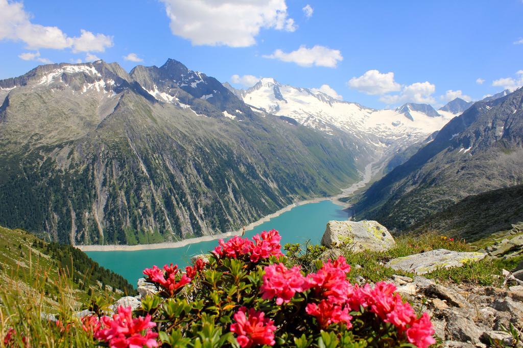 Gaestehaus Ahornblick Mayrhofen Dış mekan fotoğraf